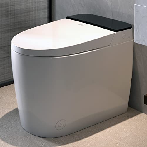 Amazon Best Sellers Best Bidet Seats