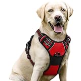 rabbitgoo Dog Harness No-Pull Pet Harness Adjustable Outdoor Pet Vest 3M Reflective Oxford Material Vest for Dogs Easy Control for Small Medium Large Dogs