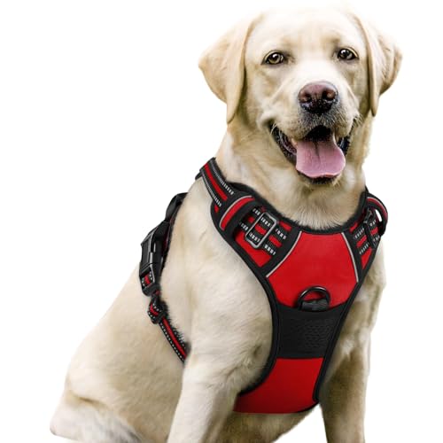 Image of rabbitgoo Dog Harness, No-Pull Pet Harness with 2 Leash Clips, Adjustable Soft Padded Dog Vest, Reflective No-Choke Pet Oxford Vest with Easy Control Handle for Large Dogs, Red, L