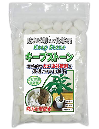 Amazon Co Jp 植物 観葉植物用 防カビ剤入り化粧石 Keep Stone キープストーン 800g 白 大理石の化粧砂利 カビ 防止 K S800 Diy 工具 ガーデン Amazon Co Jp 植物 観葉植物用 防カビ剤入り化粧石 Keep Stone キープストーン 800g 白 大理石の化粧砂利 カビ 防止 K S800 Diy 工具 ガーデン
