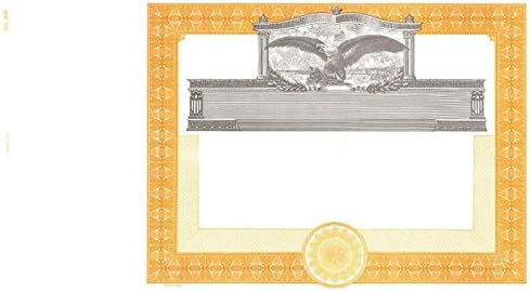 Goes 369 Blank Stock Certificate - Pack of 100