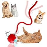 Guyugoey Interactive Electric Automatic Rolling Moving Rechargeable Self Play Stimulation Toy,Smart Pet Chase Ball with Speedy Tail Rope for Bored Indoor Cats Enrichment,stimulating Dogs Toy (Red)