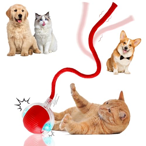 Guyugoey Smart Pet Chase Ball with Rope