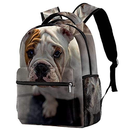 Sac à dos voyage English Bull Doge compact et résistant équipé d'un porte-bouteille
