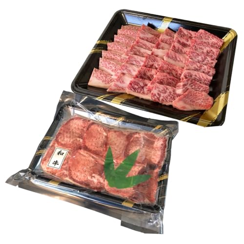 Y^ 䋍ԂƂ ēp lߍ킹 e500g t 