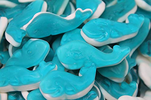 ANDROS Baleine bleue 2 kg