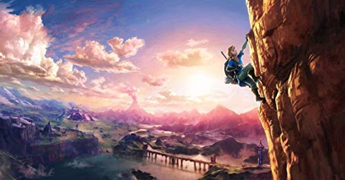 41pjFWmkkoL Nintendo Switch Rouge/Bleu Néon 32Go + New Super Mario Bros. U Deluxe + Zelda Breath Of The Wild