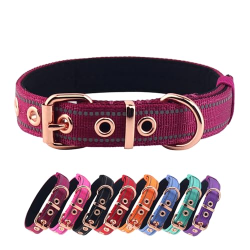 Collar para perro pequeño de nylon con neopreno y hebilla metálica