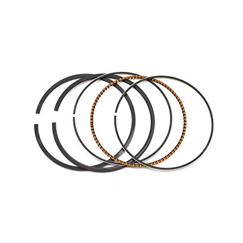 1/2Zbg I[goCp 53~54mm STD ~ +100 sXgO CA250 CMX250 CMX250C 250 CA CMX 250 ɓK(1Sets (54))