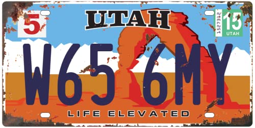 - Lot von 5 US-Metall-Autonummernschildern mit gealterter Wirkung - Nachbildungen echter amerikanischer Nummernschilder und der des Films: Zurück in die Zukunft / OLD5