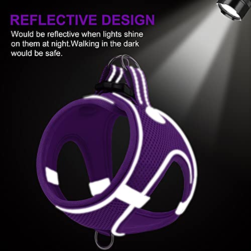 Joytale Step in Dog Harness,Soft Mesh Reflective Breathable Vest Harnesses,Easy Walk Harness with Safety Buckle for Extra Small and Small Dogs,S,Purple - Image 4