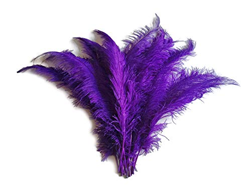 10 Pieces - 20-28" Purple Ostrich Spads Large Wing Feathers Costume Party Supplier | Moonlight Feather #TOP2