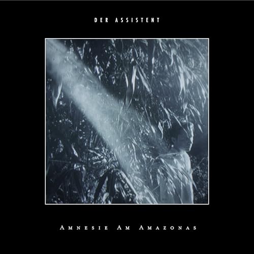 Der Assistent