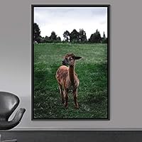 Framed Canvas Wall Art Llama Animals Camels Expressive Farmhouse/Country Living Room Multicolor Photography - 16x24 inches