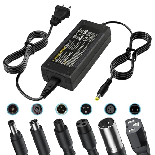 PUKOKAL 29.4V 2A Hoverboard Charger Universal 24V Lithium Battery Charger with 7 Plugs for Electric Scooter GoTrax G1 Edge Nova GKS Hoverfly SRX (NOT for 36V/42V)