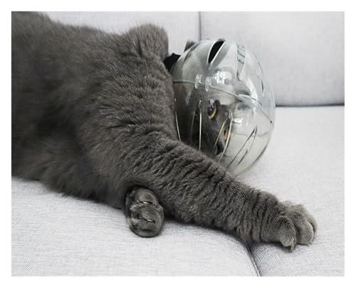 Casque de convalescence pour animaux de compagnie lors du toilettage et repos à la maison - 3