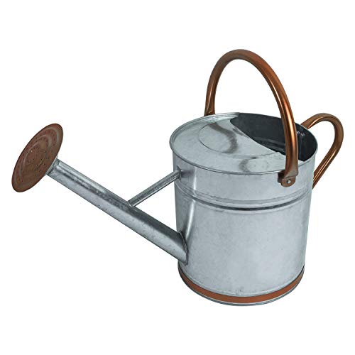 Woodside Silver 9L Metal Garden and Plant Watering Can with Rose 1 Woodside Silver 9L Metal Garden and Plant Watering Can with Rose