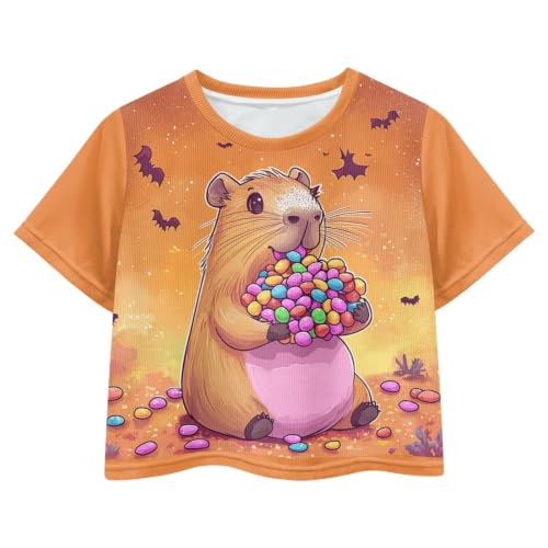Image of Cute Crop Tops for Girls Short Sleeve Summer T Shirts Fashion Graphic Tees Crew Neck Pullover Tee 5-14 Years