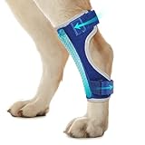 Pawfun Dog Leg Braces for Back Leg – Hock and Ankle Joint Support Brace for Rear Legs with 2 Metal Strips, Reflective Edging for Sprain,Injury, Arthritis, Wound Recovery,Blue,L
