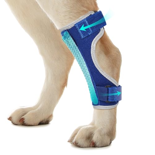 Image of Dog Leg Braces for Back Leg- Hock and Ankle Joint Support Brace for Rear Legs with 2 Metal Strips, Reflective Edging for Sprain, Injury, Arthritis, Wound Recovery,Blue,S