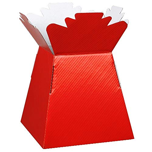 floral natalie 5 x Red Florist Aqua Boxes - Living Vases - Hand Tie Boxes by Apac