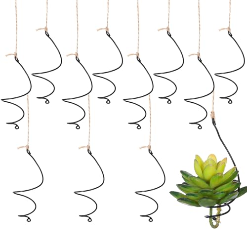 DOPENSPI 6 Set Hanging Air Plant Holder, Adjustable Air Plant Hanger with Jute Ropes Soilless Succulent Display Container Airplant Stand for Home Office Decor