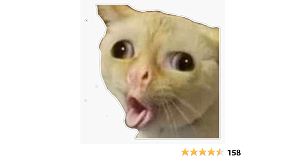 cat sticking tongue out and coughing