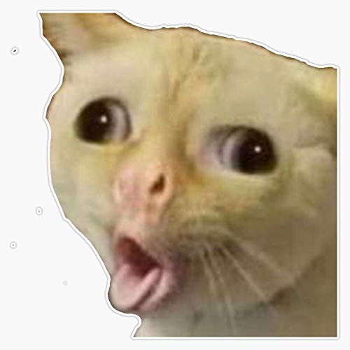 Coughing Cat Meme Sticker Vinyl Waterproof Sticker Decal Car Laptop Wall Window Bumper Sticker 5