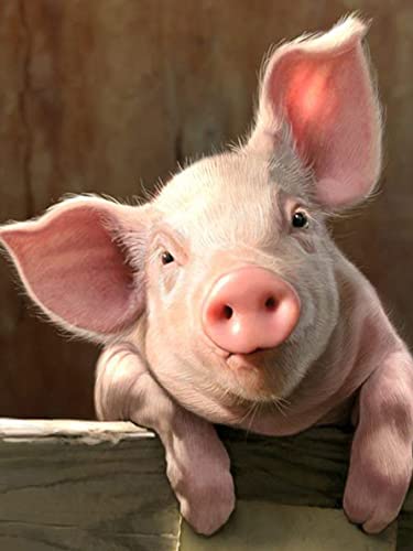 Leejoy 5D Diamond Painting Complet Cochon Animaux, Diamant Peinture Kits Point De Croix Broderie Animal, Craft pour Salon Chambre Home Décoration Murale 30x40 cm Cover