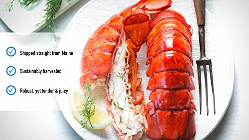 (12 Pack) Fresh Frozen Lobster Tails From Maine - Large Lobster Tails For Delivery, Best With Lobster Crackers, Crab Leg Cracker Tools, Lobster Pics, Seafood Scissor & Forks - Antibiotic Free - Get Maine Lobster #TOP3
