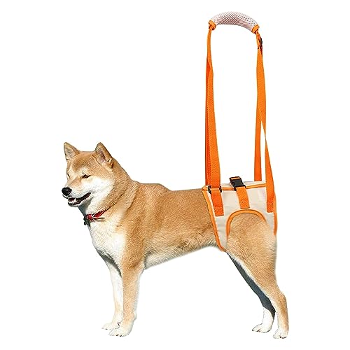 Arnés de Elevación Para Perros, Silla de Ruedas Para Perros, Arnes Perro Displasia, Arnés de Elevación Portátil Para Perros Con Patas Traseras Débiles Para Recuperación de Cirugía y Alivio del Dolor-L