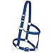 Weaver Original Adj Draft Halter w/Snap Regular Re