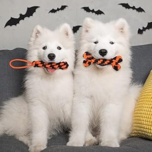 Whaline-7Pcs-Halloween-Pet-Toys-Pumpkin-Bone-Shape-Squeak-Toys-Sturdy-Cotton-Rope-Chewing-Toys-Orange-Black-Soft-Triangle-Scarf-Puppy-Teeth-Cleaning-Toys-for-Small-Medium-Dogs-Halloween-Decoration - Cucciolini Doodles   Whaline-7Pcs-Halloween-Pet-Toys-Pumpkin-Bone-Shape-Squeak-Toys-Sturdy-Cotton-Rope-Chewing-Toys-Orange-Black-Soft-Triangle-Scarf-Puppy-Teeth-Cleaning-Toys-for-Small-Medium-Dogs-Halloween-Decoration