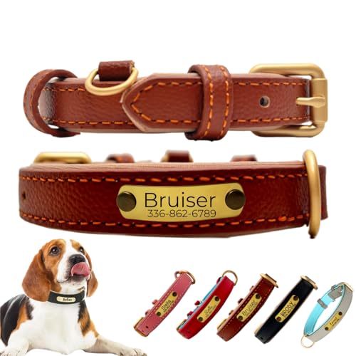  qDt ꖳ O dbԍ \ qh~ {v ybg U[ x[VbN ߉\ ^ ^ ^  킢 v[g Mtg v y ʋCpbh