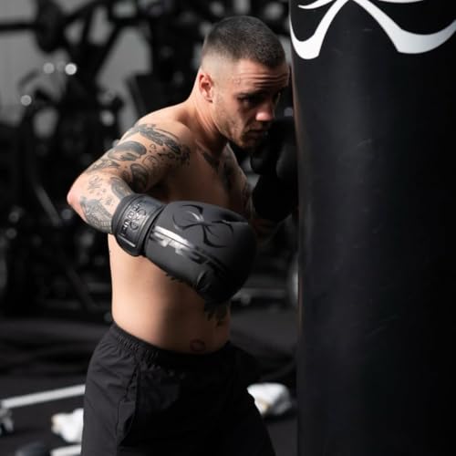 Image of STING Boxing - Armaplus Boxing Gloves | for Competition & Training (16OZ, Black)