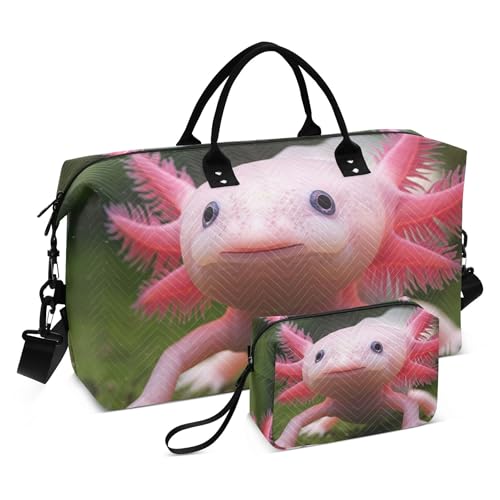 _btobO gx&gC^[|[` 2Zbg yCeBO EB[NG_[ L[IobO L[g Axolotl 냉Q[W WobO