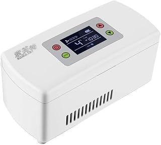 Small Refrigerator Mini Mini Refrigerator Drug Refrigerator and Insulin Cooler - Travel, Household, Portable Car Refrigerator