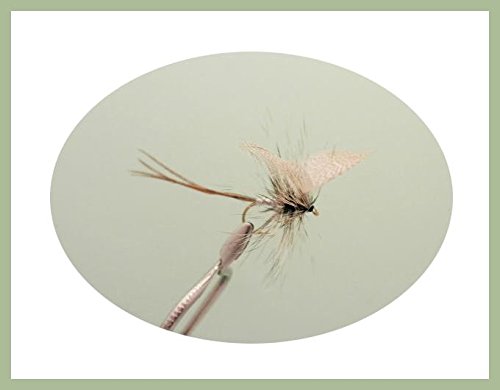 Drake Mayflies 12, colore: grigio, Verde & giallo