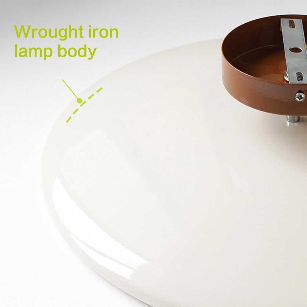 Hallway Light Modern Ceiling Light Fixtures Led Ceiling Light Acrylic Round Close to Ceiling Lighting Fixtures Bedroom Kitchen Bathroom Ceiling Lights,Hanging Light Fixture/White/50Cm