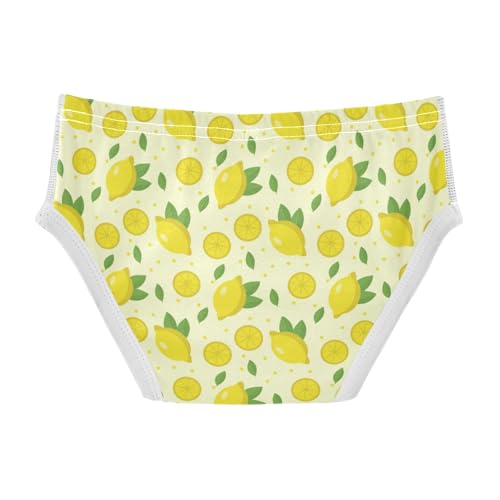 Boys' Exclusive Briefs Toddler Underwear 95% Combed Cotton Boxerbriefs 2T Lemon Pattern 732