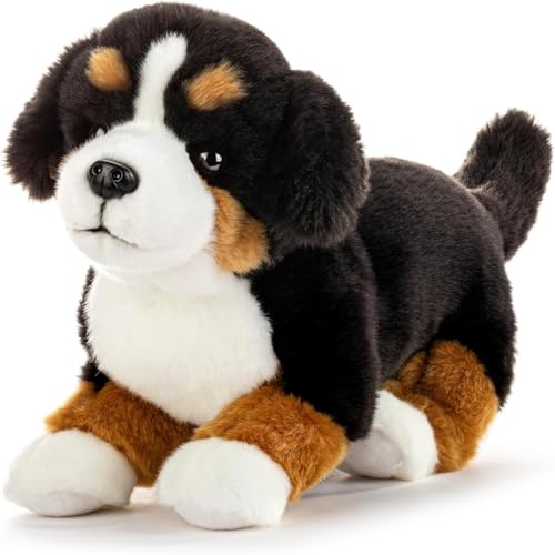 Peluche Bouvier Bernois, le cadeau d'anniversaire idéal pour garçons et filles