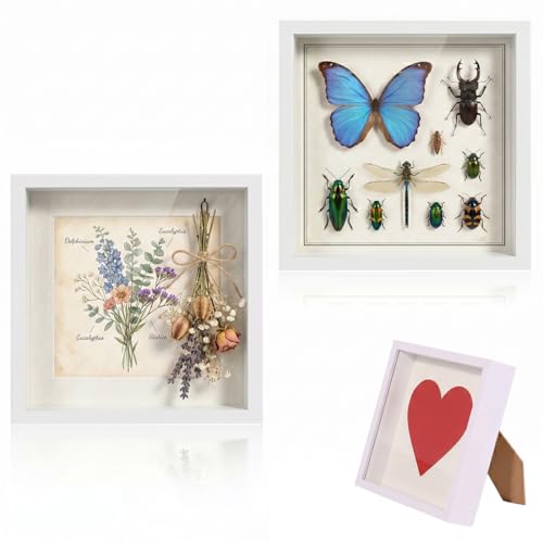 ROKZELT Marco 3D, 10x10cm Blanco, 2 Piezas Profundidad 3cm, Marco Objeto Rellenable, Shadow Box para Fotos, Flores, Recordatorios, DIY