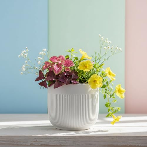 Image of Xtore Studio Ceramic Ribbed Planter | Round Decorative Flower Pot for Home, Bedroom & Living Room Decor - (White, 1 Piece, Planter ONLY)