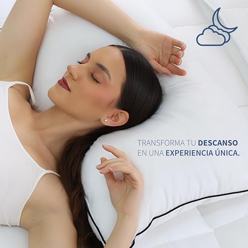 Catálogo para Comprar On-line Almohadas Walmart de esta semana. 23 Almohadas Walmart marca TESSO HOME (2)
