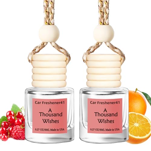 Image of Hanging Car Air Freshener, Long Lasting Essential Oil Diffuser, Non-Toxic New Car Scent, Cute Car Fresheners for Women, 2 Pack Made in USA
