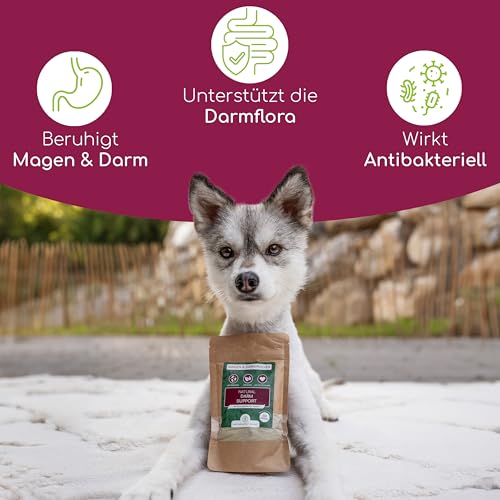 Durchfall Stopp Pulver für Hunde & Katzen – Schnelle Hilfe bei akutem Durchfall – Mit Präbiotika, Totes Meer Salz & Eichenrinde – Bindet Wasser & Giftstoffe im Darm