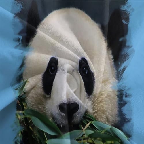 Housse de couette panda 3D 200x200 cm avec taies d'oreiller en microfibre pour lit double - 8