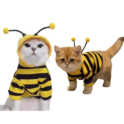 ~co` ybg RX`[ NX}Xߑ hbOEFA  L Xqt _炩 KAE^[ RR h R[g  p[J[ o U 킢 lC ^ tďH EȒP (XS,~co`)