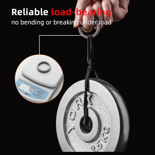 Image of FEGVE Integrated Titanium Round Carabiner Key Clip with 2 Key Rings