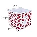 MAX Houser Fabric Storage Bins Cubes Baskets Containers with Dual Plastic Handles for Home Closet Bedroom Drawers Organizers, Foldable, Set of 6 (Red)